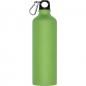 Preview: Aluminium Trinkflasche mit Gravur / mit Karabinerhaken / 800ml / hellgrün