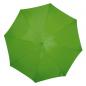 Preview: Automatik-Regenschirm mit Gravur / Farbe: apfelgrün